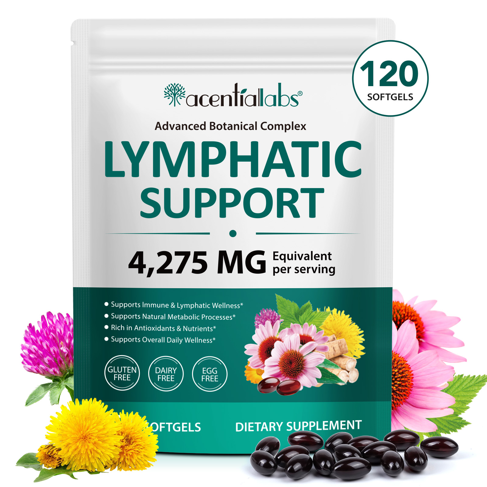 Chamomile Tea - Lymphatic Support, Immune Support, Healthy Blood